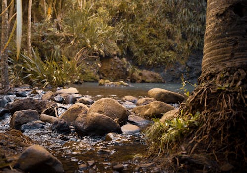 Exploring Life Possibilities on Jupiter: Theoretical Insights and Challenges